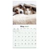 image Furry Friends 2027 Wall Calendar Third Alternate Image
