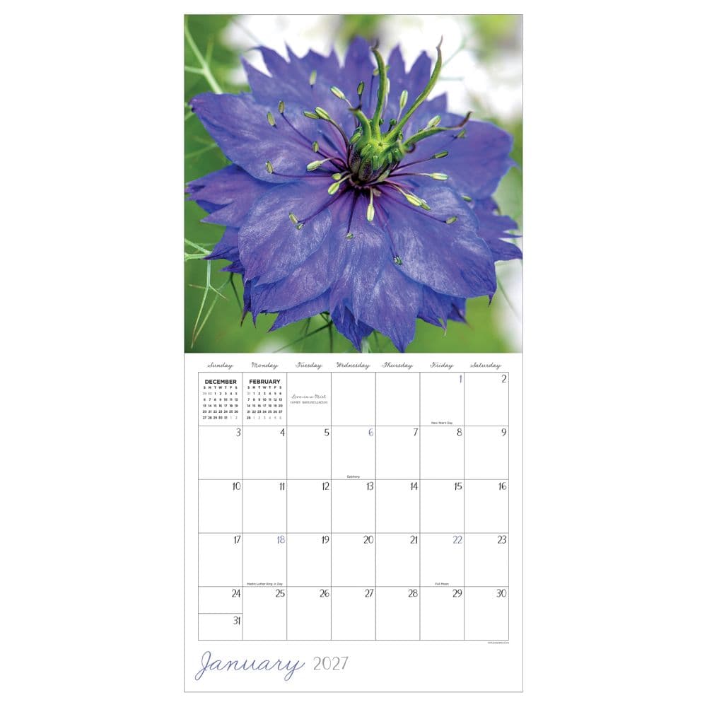 Flowers 2027 Wall Calendar Second Alternate Image