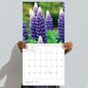image Flowers 2027 Wall Calendar Fifth Alternate Image