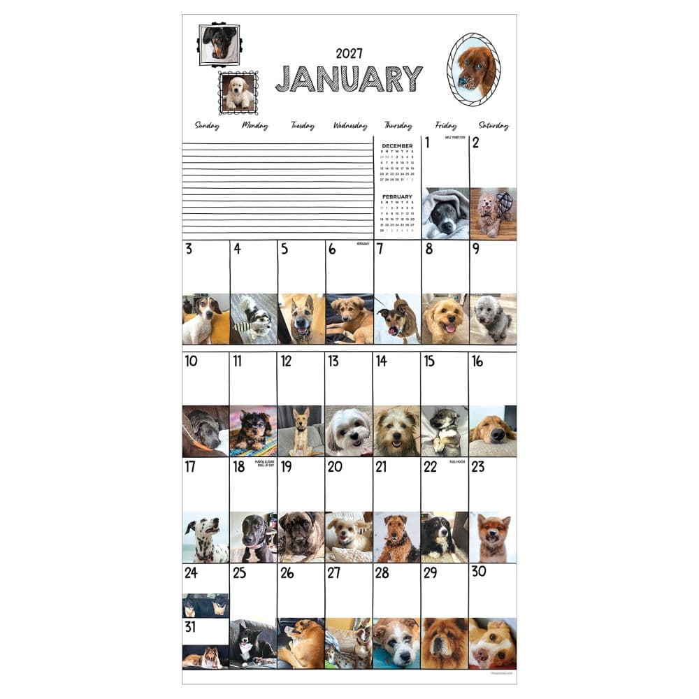 Dog-A-Day 2027 Wall Calendar Second Alternate Image