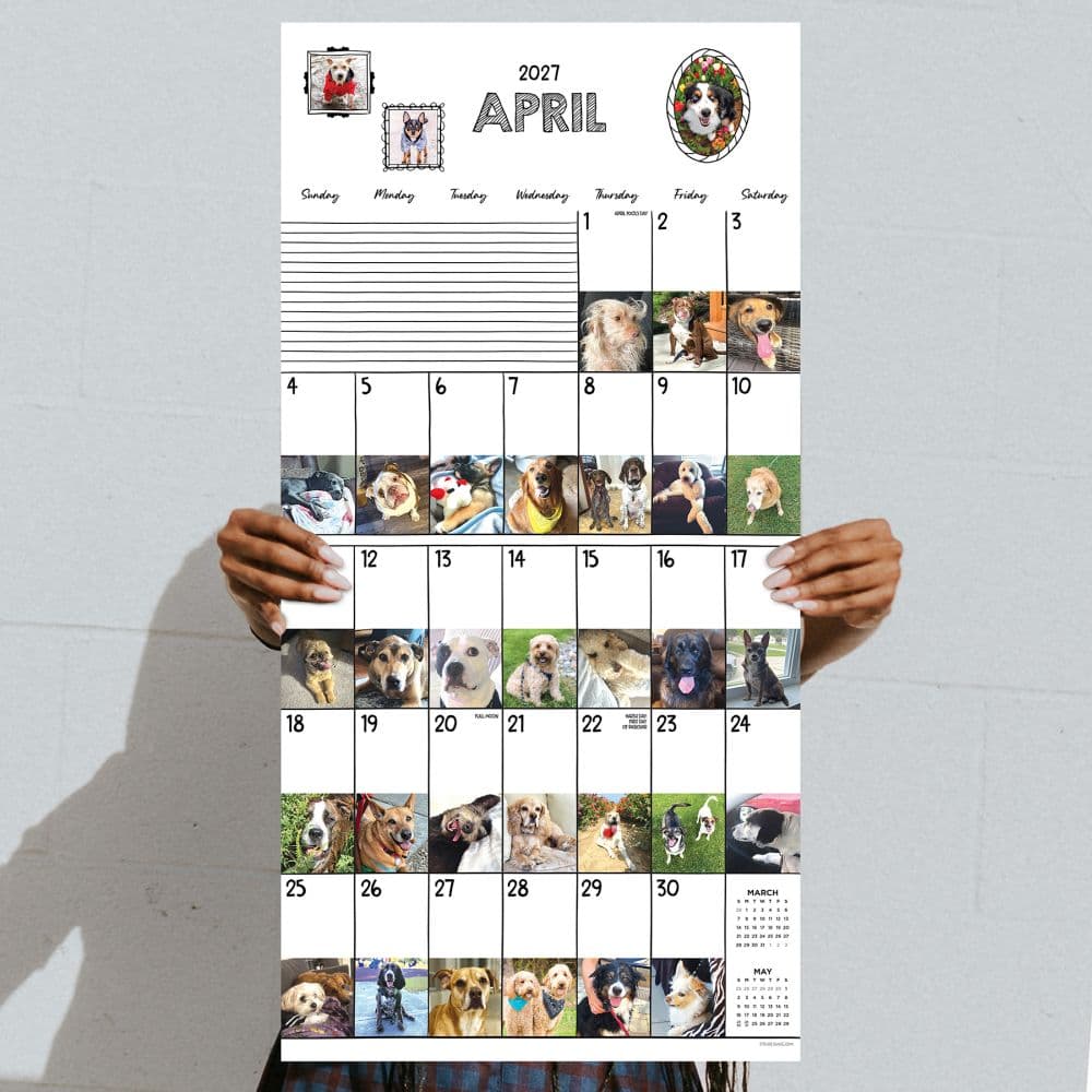 Dog-A-Day 2027 Wall Calendar Fifth Alternate Image