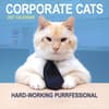 image Corporate Cats 2027 Wall Calendar Main Product Image