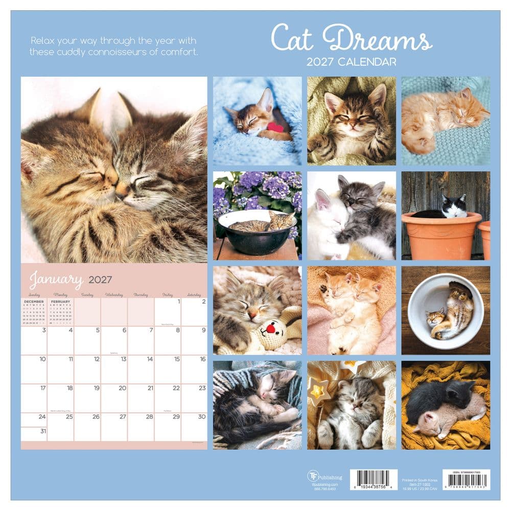 Cat Dreams 2027 Wall Calendar First Alternate Image
