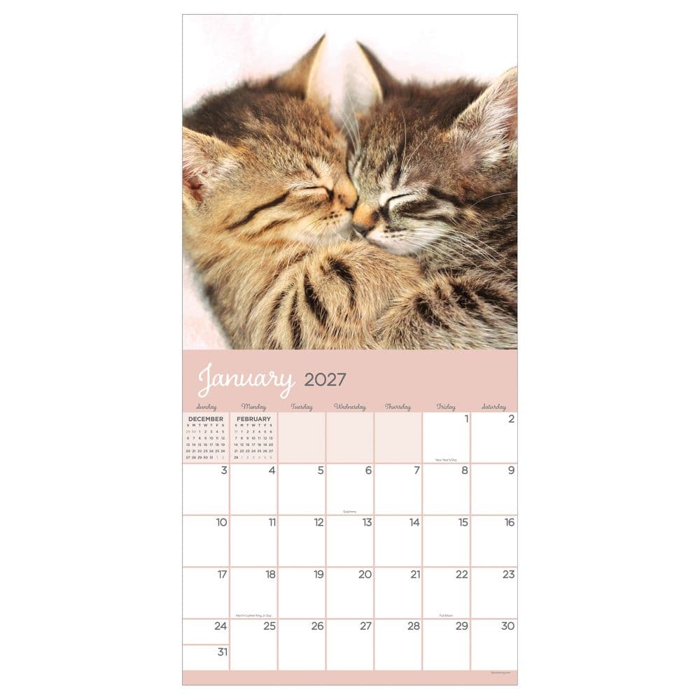 Cat Dreams 2027 Wall Calendar Second Alternate Image