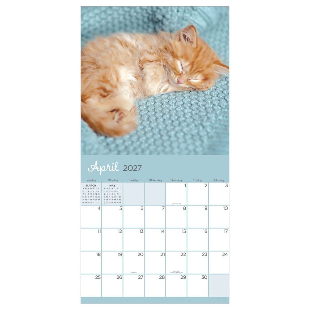 Cat Dreams 2027 Wall Calendar Third Alternate Image