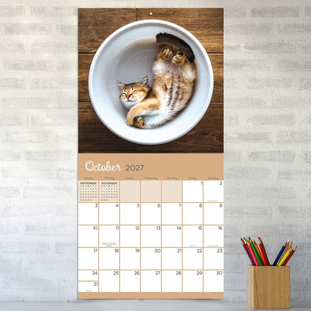 Cat Dreams 2027 Wall Calendar Fourth Alternate Image