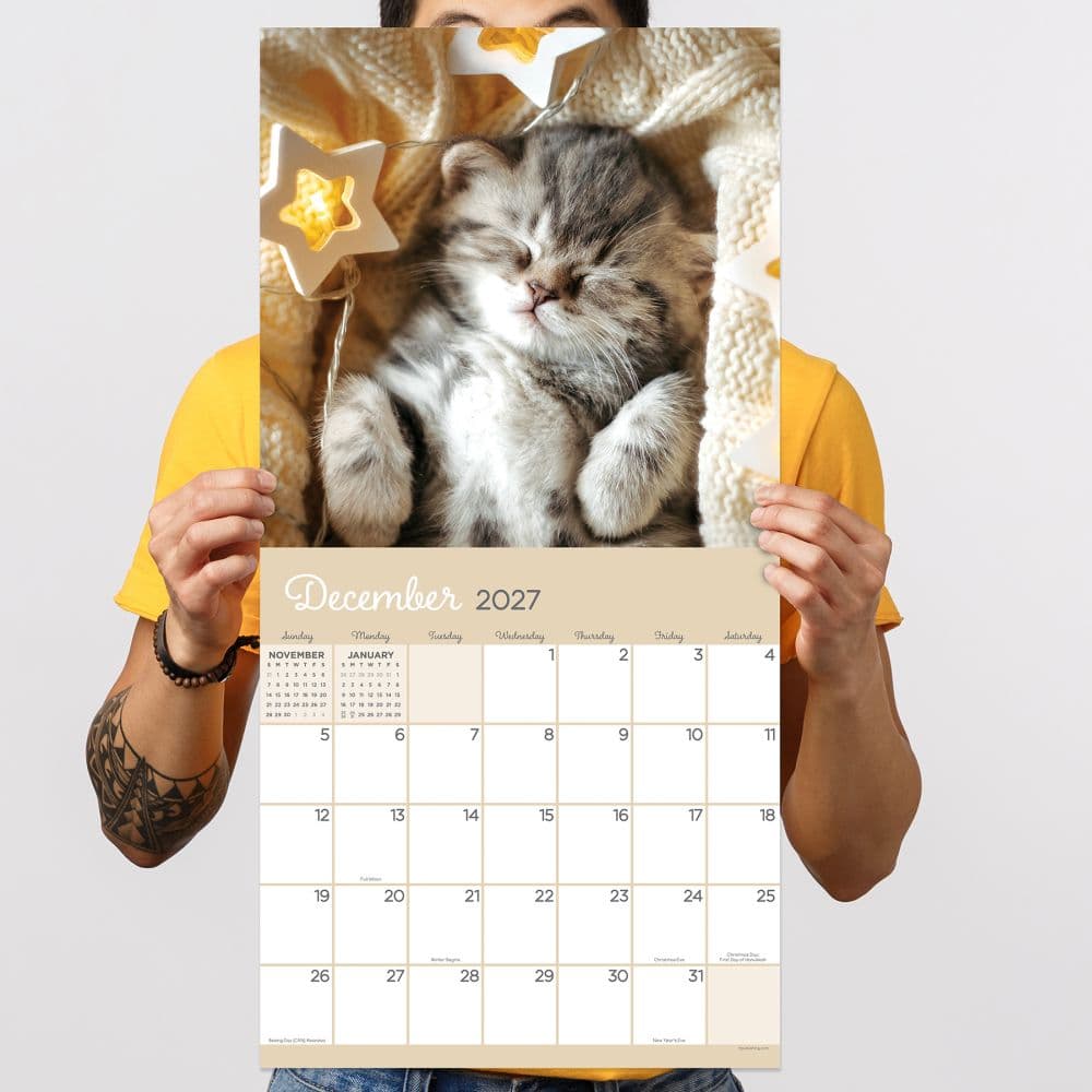 Cat Dreams 2027 Wall Calendar Fifth Alternate Image