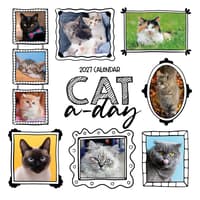 image Cat-A-Day 2027 Wall Calendar Main Product Image