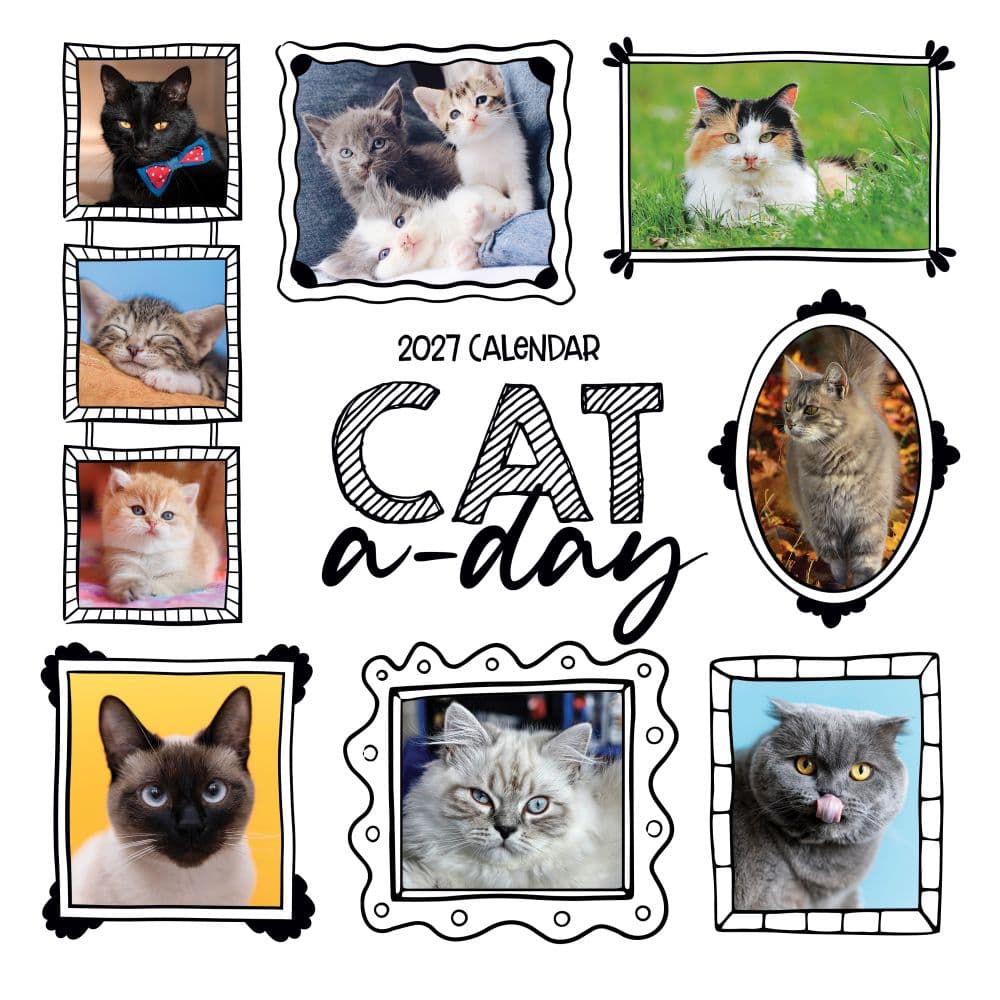 image Cat-A-Day 2027 Wall Calendar Main Product Image