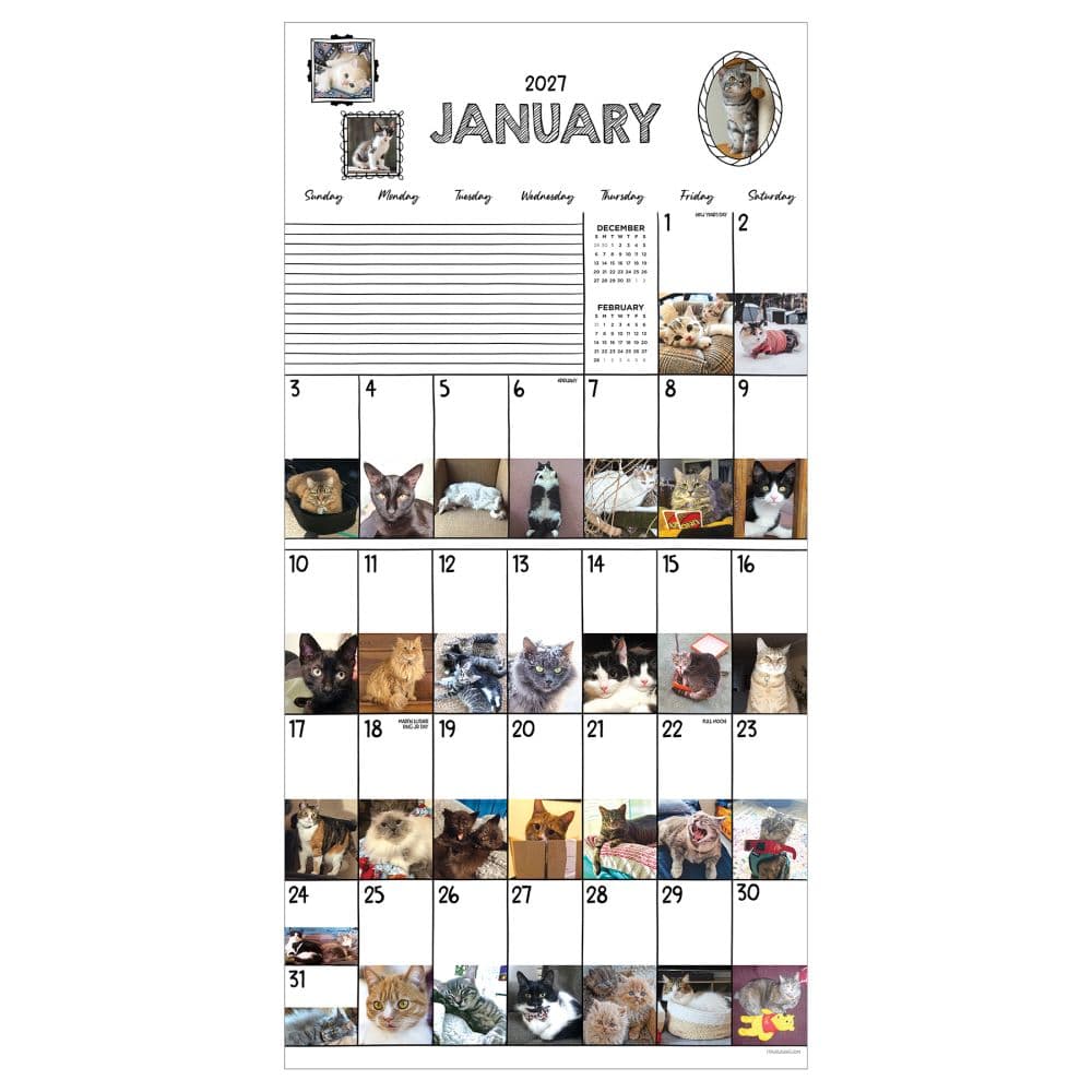 Cat-A-Day 2027 Wall Calendar Second Alternate Image