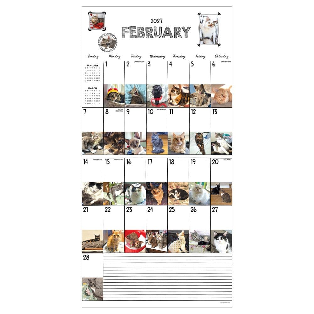 Cat-A-Day 2027 Wall Calendar Third Alternate Image