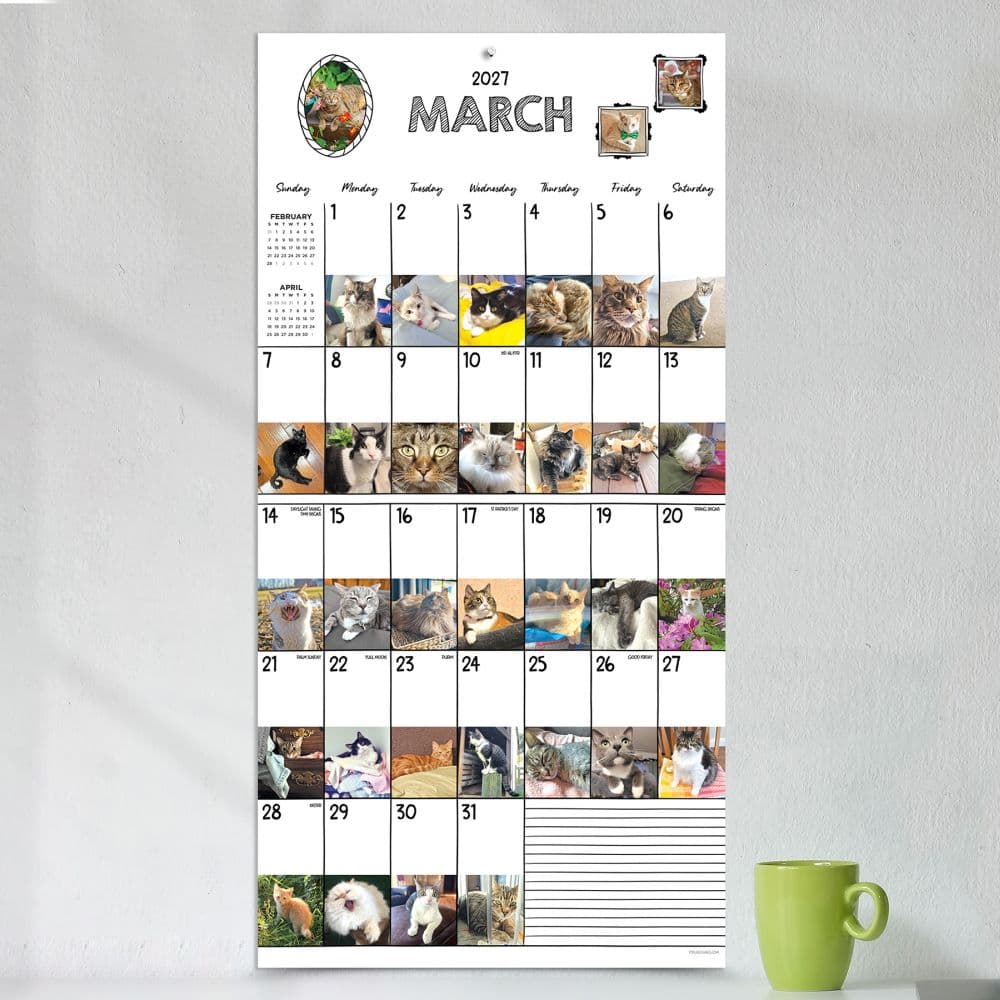 Cat-A-Day 2027 Wall Calendar Fourth Alternate Image