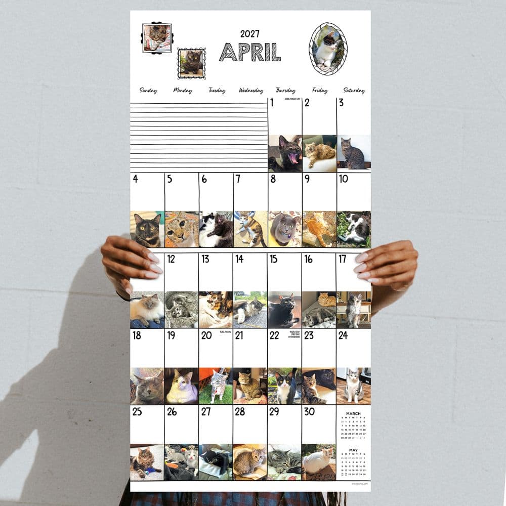 Cat-A-Day 2027 Wall Calendar Fifth Alternate Image