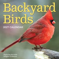 image Backyard Birds 2027 Wall Calendar Main Product Image