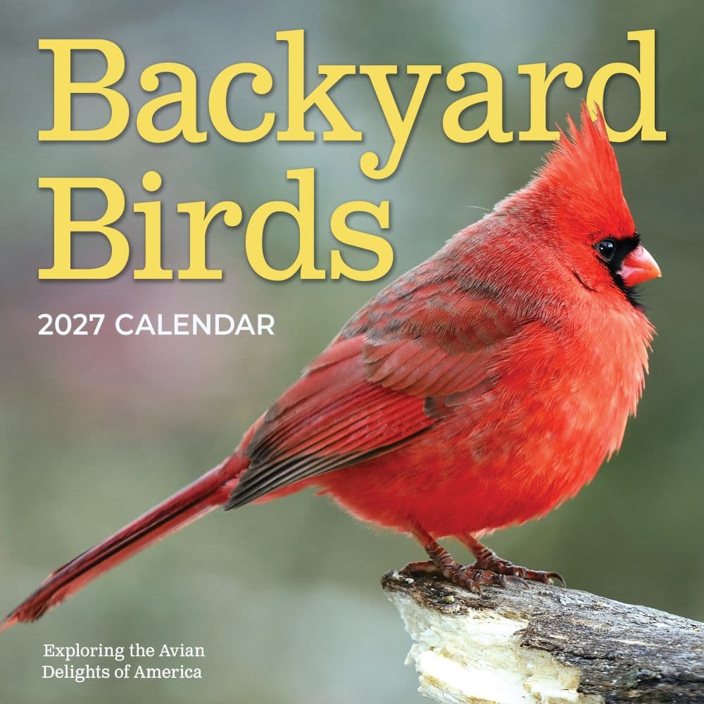 image Backyard Birds 2027 Wall Calendar Main Product Image