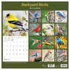 image Backyard Birds 2027 Wall Calendar First Alternate Image