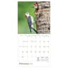 image Backyard Birds 2027 Wall Calendar Third Alternate Image