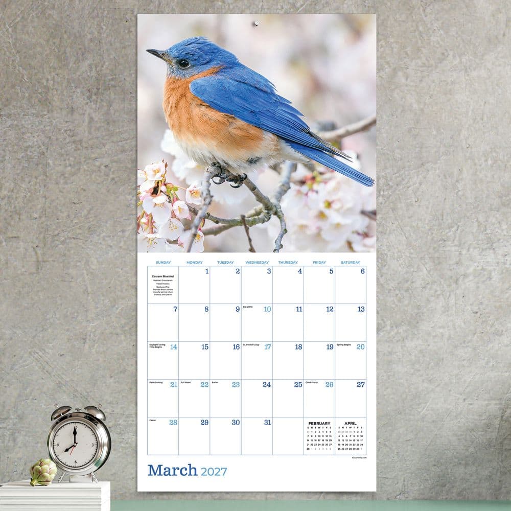 Backyard Birds 2027 Wall Calendar Fourth Alternate Image