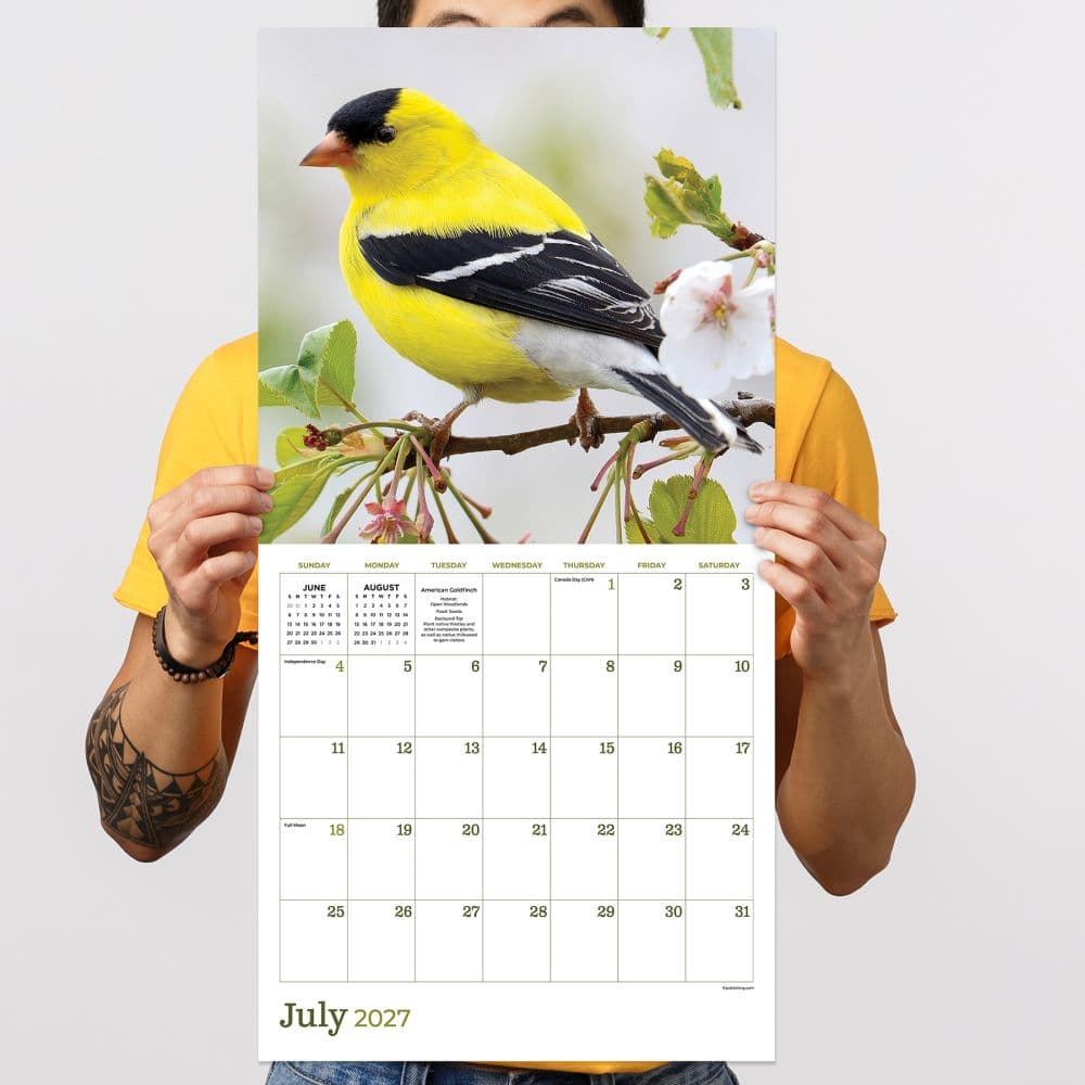 Backyard Birds 2027 Wall Calendar Fifth Alternate Image
