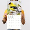 image Backyard Birds 2027 Wall Calendar Fifth Alternate Image