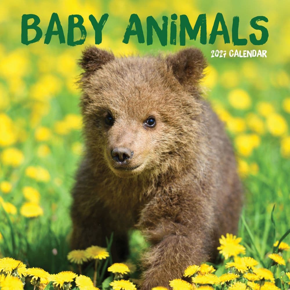 Baby Animals 2027 Wall Calendar Main Product Image