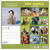 image Baby Animals 2027 Wall Calendar First Alternate Image