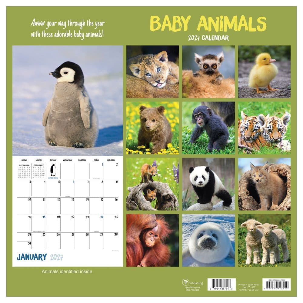 Baby Animals 2027 Wall Calendar First Alternate Image