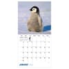 image Baby Animals 2027 Wall Calendar Second Alternate Image