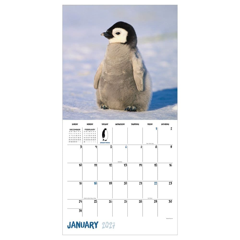 Baby Animals 2027 Wall Calendar Second Alternate Image