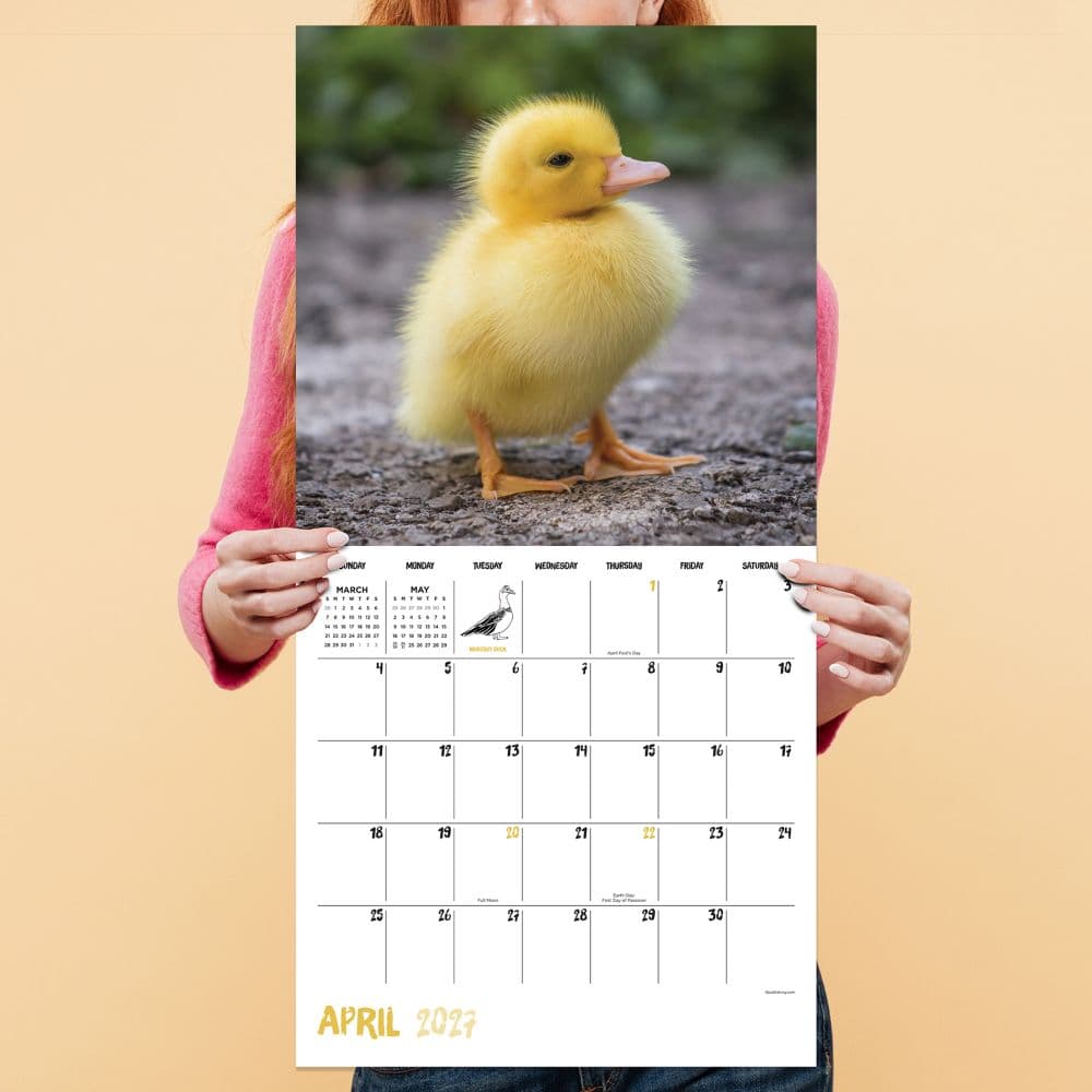 Baby Animals 2027 Wall Calendar Fifth Alternate Image