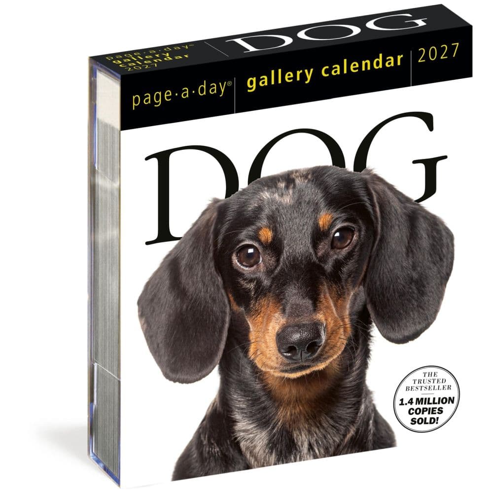 Dog Page-A-Day Gallery Calendar Refill Pack Main Product Image