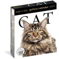 image Cat Page-A-Day Gallery Calendar Refill Pack Main Product Image