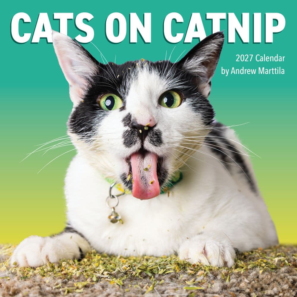Cats on Catnip 2027 Wall Calendar Main Product Image