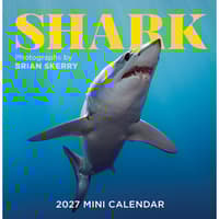 image Shark 2027 Mini Wall Calendar Main Product Image