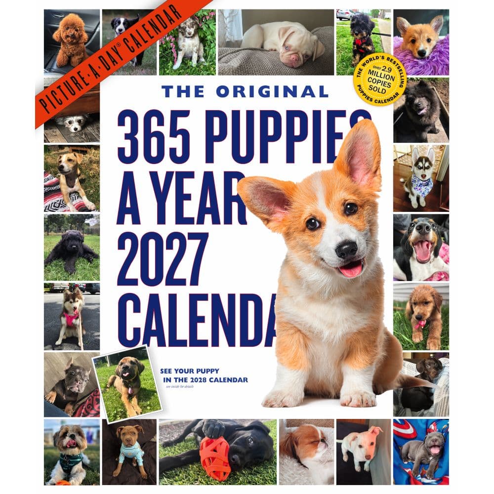 image 365 Puppies-A-Year Picture-A-Day 2027 Wall Calendar Main Product Image