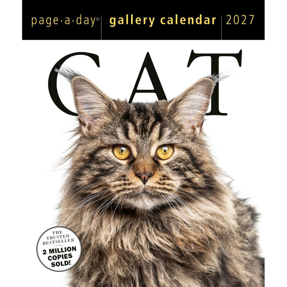 image Cat Page-A-Day Gallery 2027 Desk Calendar Main Product Image