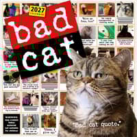 image Bad Cat 2027 Wall Calendar Main Product Image