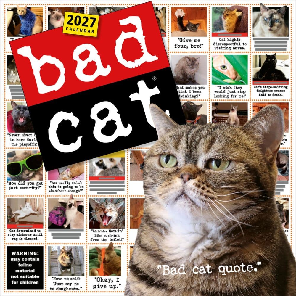 image Bad Cat 2027 Wall Calendar Main Product Image