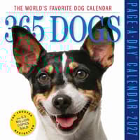 image 365 Dogs 2027 Page-A-Day Desk Calendar Main Product Image