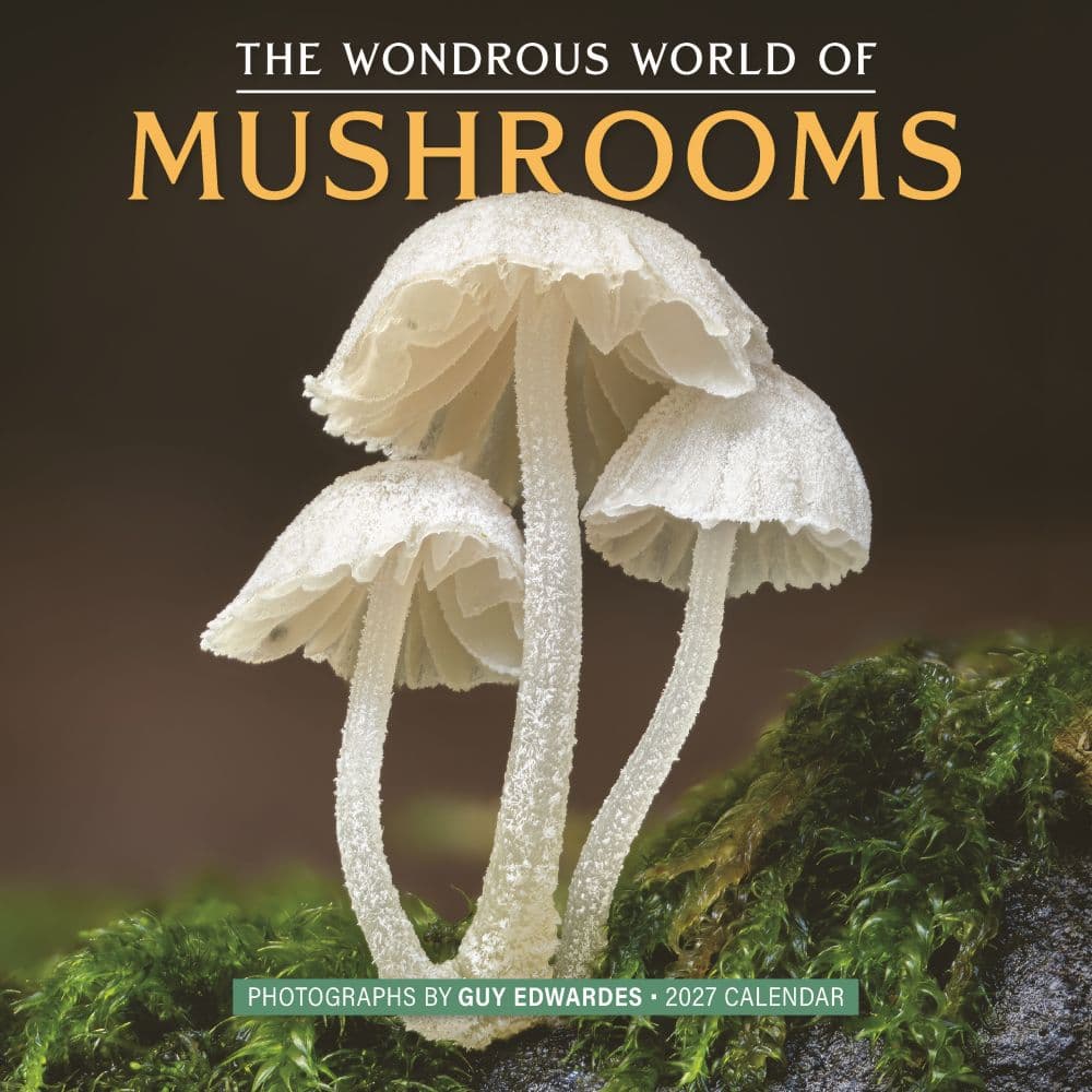 Wondrous World of Mushrooms 2027 Wall Calendar