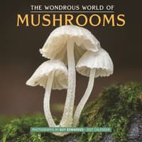 image Wondrous World of Mushrooms 2027 Wall Calendar Main Product Image