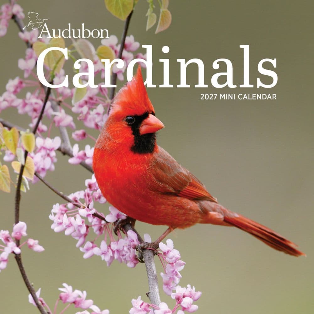 Audubon Cardinals 2027 Mini Wall Calendar Main Product Image