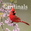 image Audubon Cardinals 2027 Mini Wall Calendar Main Product Image