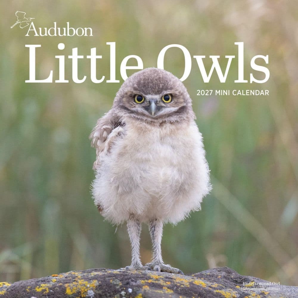 image Audubon Little Owls 2027 Mini Wall Calendar Main Product Image