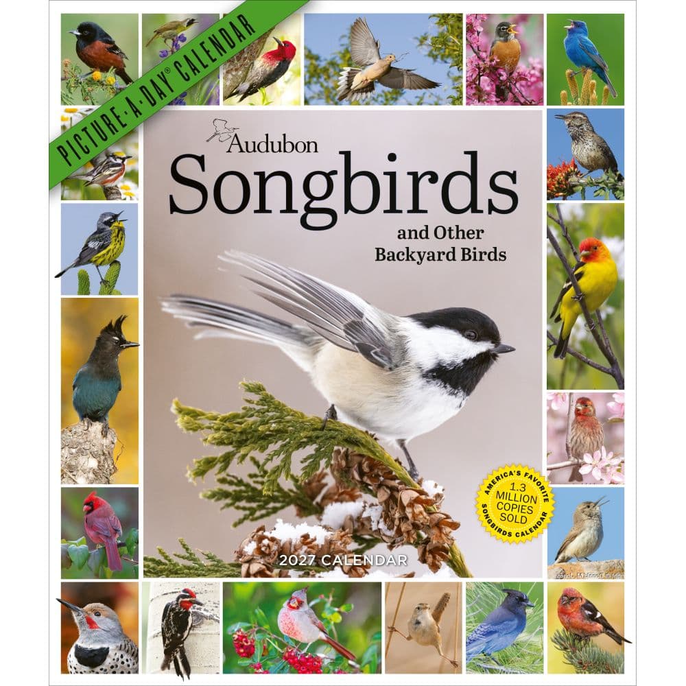 Audubon Songbirds and Other Backyard Birds Picture-A-Day 2027 Wall Calendar Main Product Image