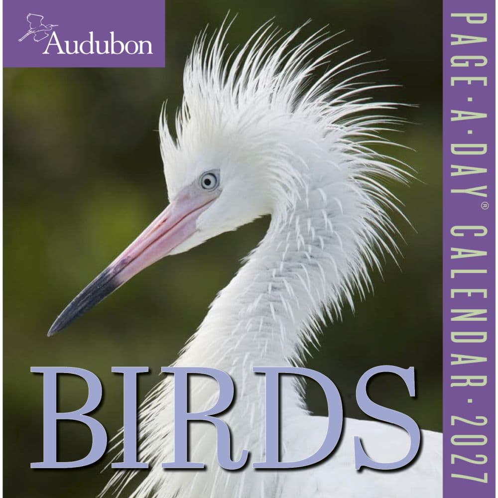 Audubon Birds 2027 Page-A-Day Desk Calendar Main Product Image