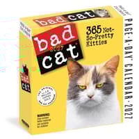 image Bad Cat 2027 Page-A-Day Desk Calendar Main Product Image