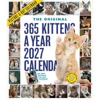 image 365 Kittens-A-Year Picture-A-Day 2027 Wall Calendar Main Product Image