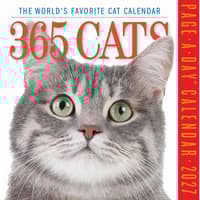 image 365 Cats 2027 Page-A-Day Desk Calendar Main Product Image