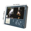 image Harry Potter 2027 Desk Calendar Ninth Alternate Image